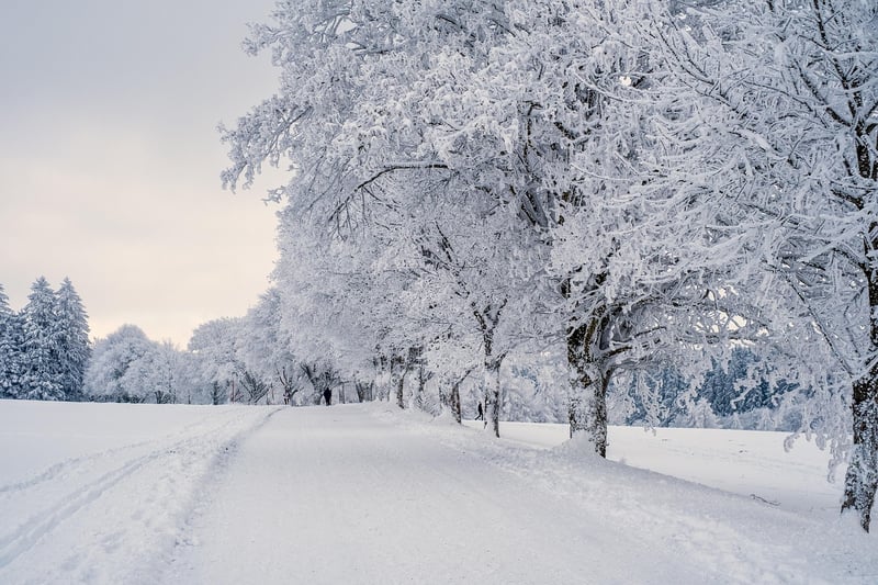 Snowmobiling in Winter